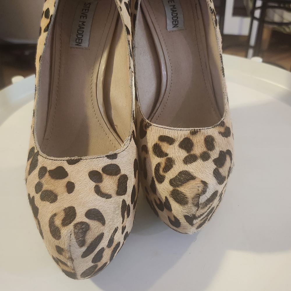 Steve Madden Leopard Print Women's Shoes